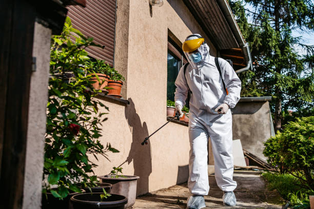 Flea Control Services in Malvern, IA