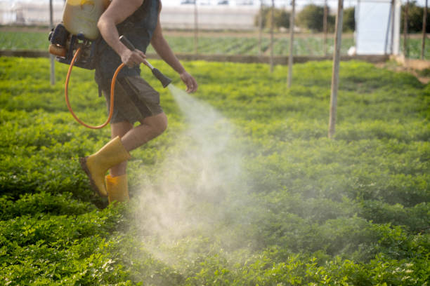 Best Pest Control Cost  in Malvern, IA