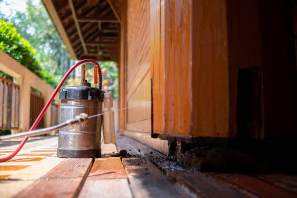 Best Cockroach Control Services  in Malvern, IA