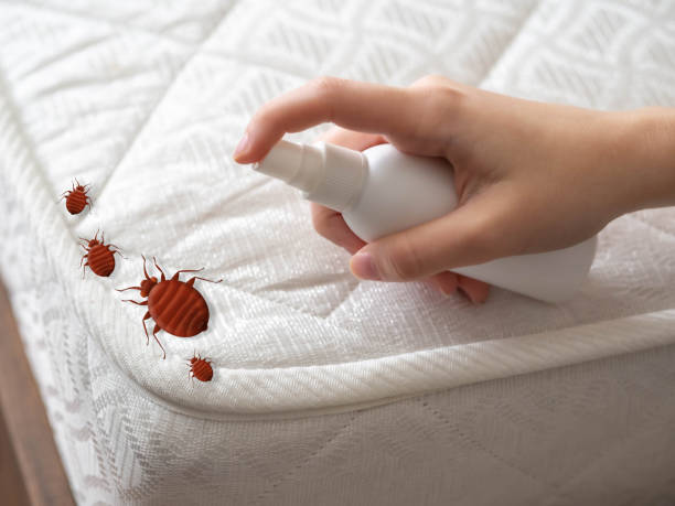 Best Insect Control  in Malvern, IA