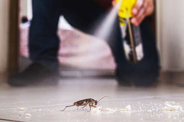 Best Termite Control Services  in Malvern, IA