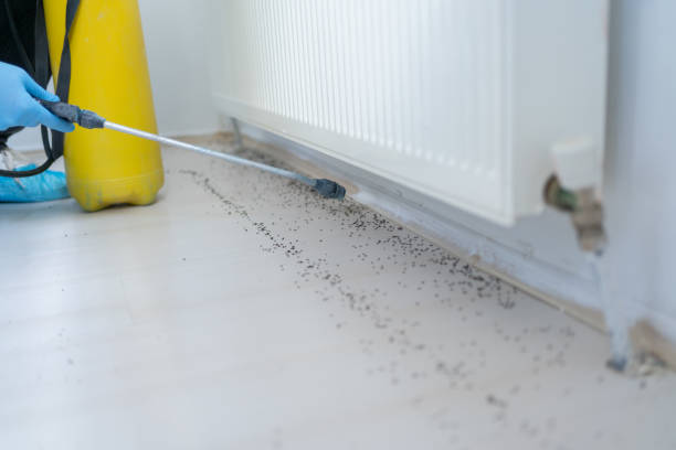 Best Mosquito Control Services  in Malvern, IA