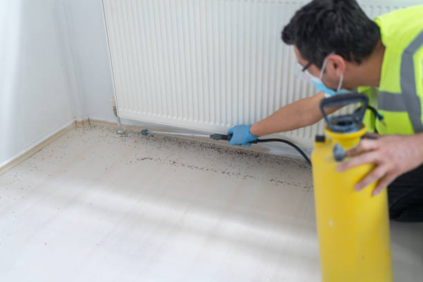 Best Flea Control Services  in Malvern, IA