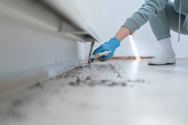 Best Mosquito Control Services  in Malvern, IA