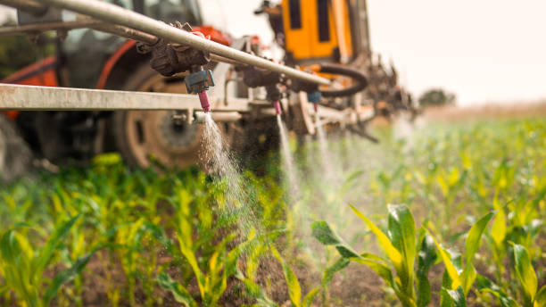 Professional Pest Control in Malvern, IA